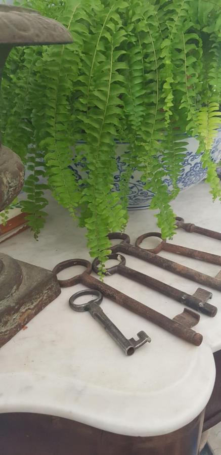 Casa Rural Los Danzantes Fuente-Tojar エクステリア 写真
