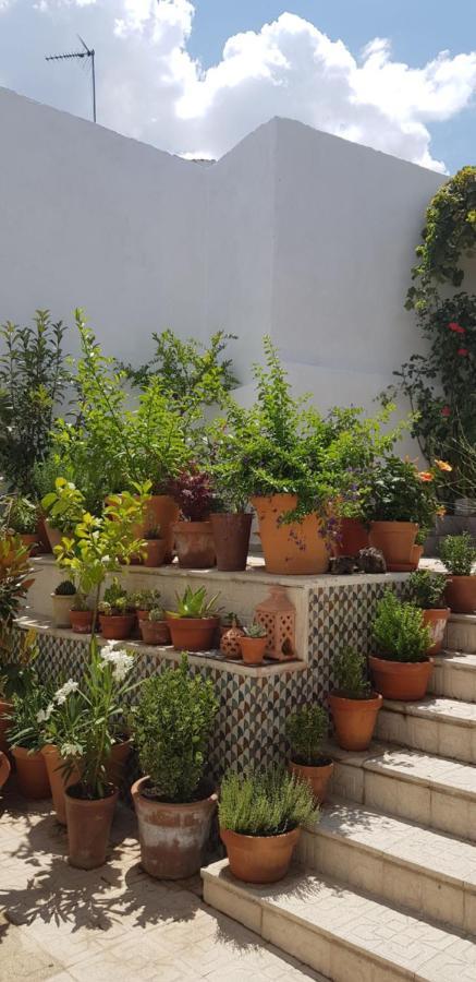 Casa Rural Los Danzantes Fuente-Tojar エクステリア 写真