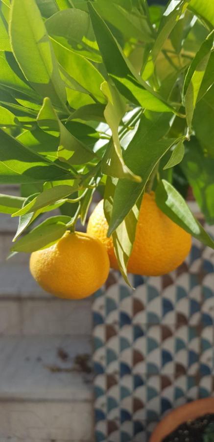 Casa Rural Los Danzantes Fuente-Tojar エクステリア 写真