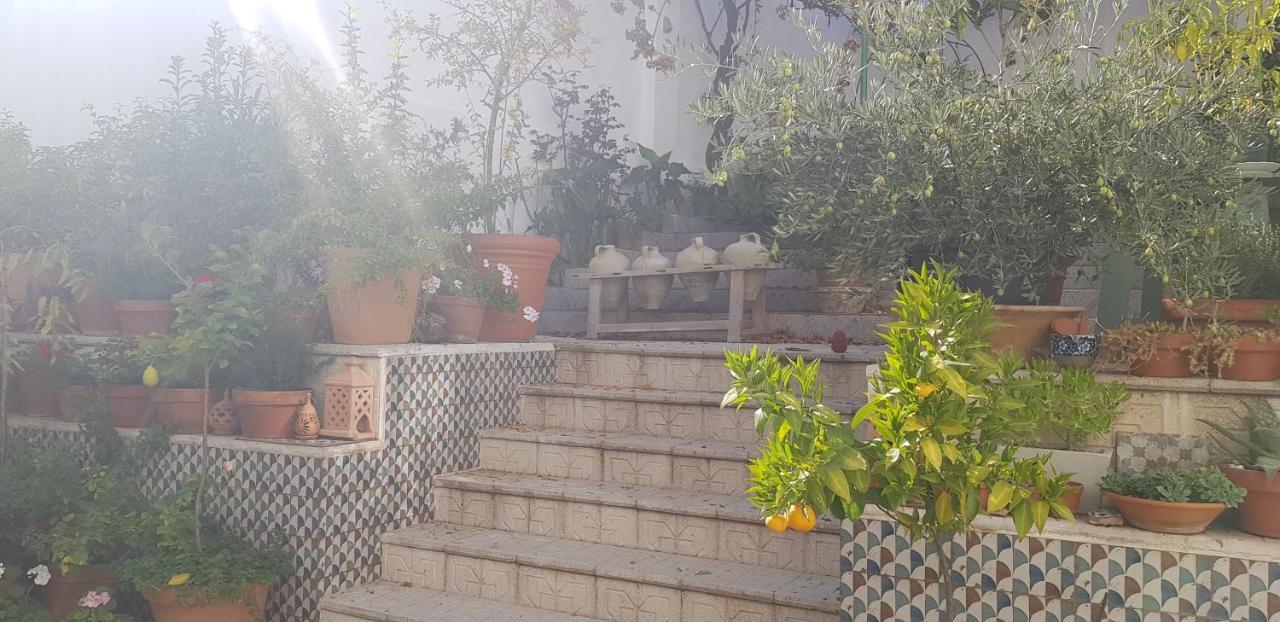 Casa Rural Los Danzantes Fuente-Tojar エクステリア 写真