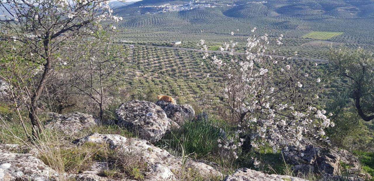 Casa Rural Los Danzantes Fuente-Tojar エクステリア 写真