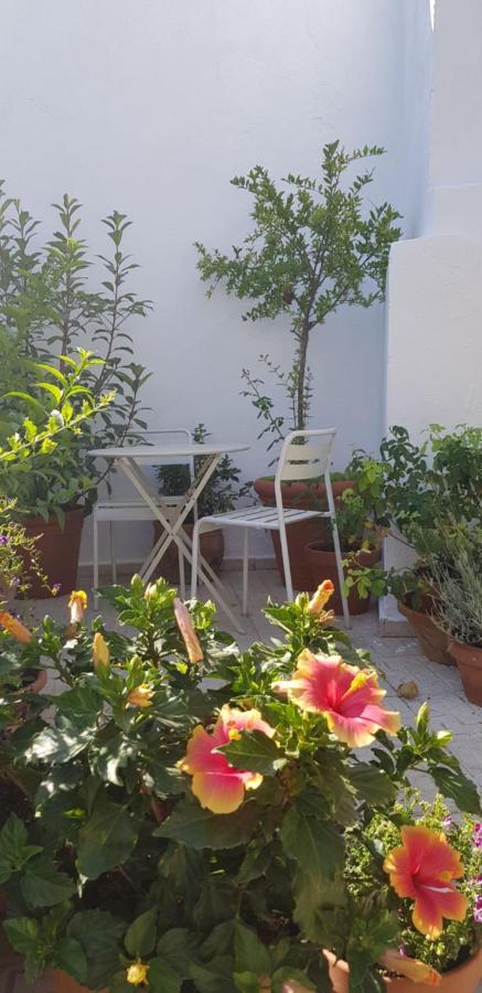 Casa Rural Los Danzantes Fuente-Tojar エクステリア 写真